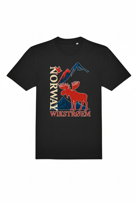 Schwarzes T-Shirt - großes Logo mittig
