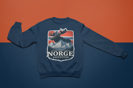 Sweatshirt Trondheim - Høyfjell